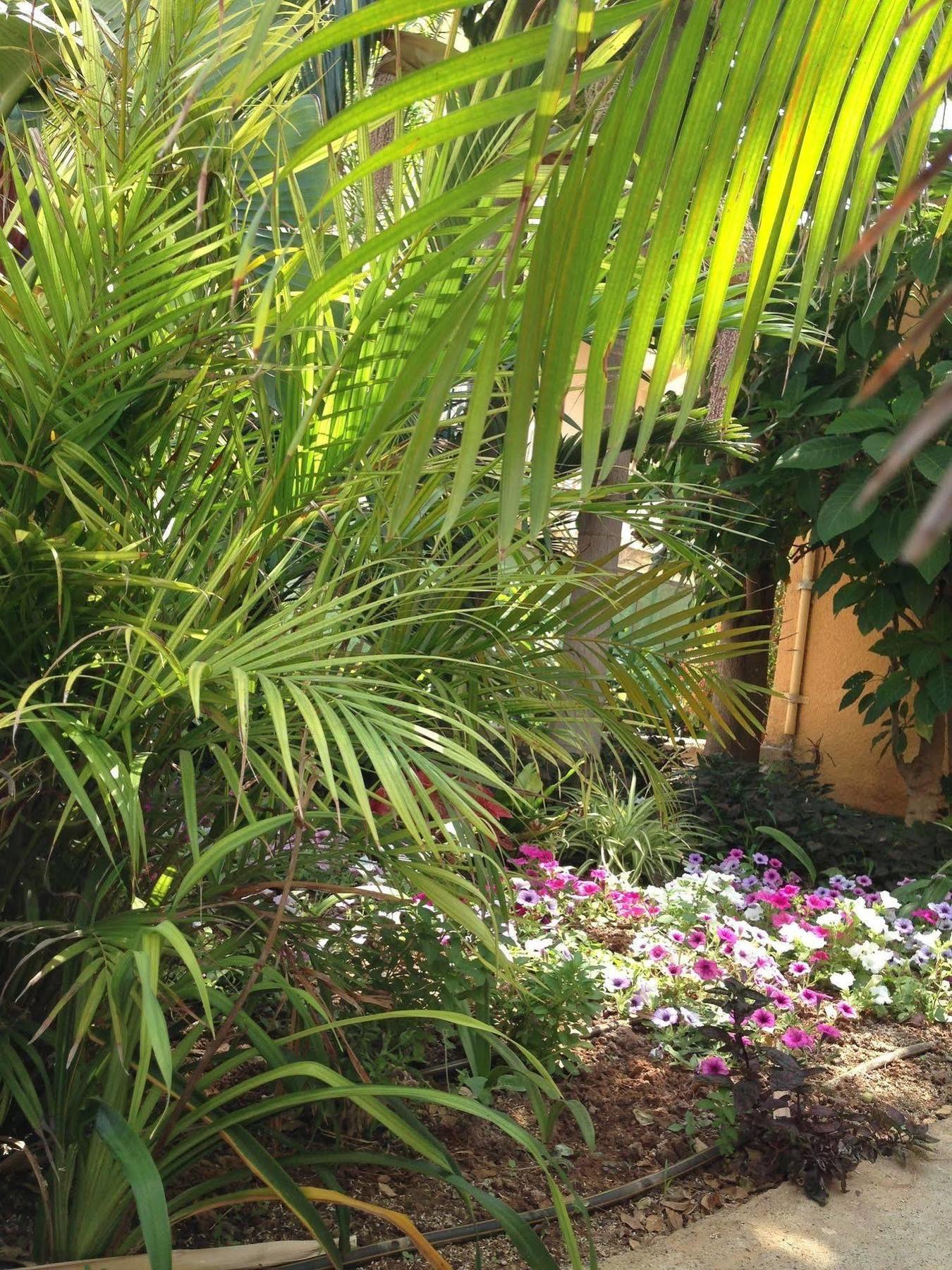 Constantaras Apartments Protaras Luaran gambar