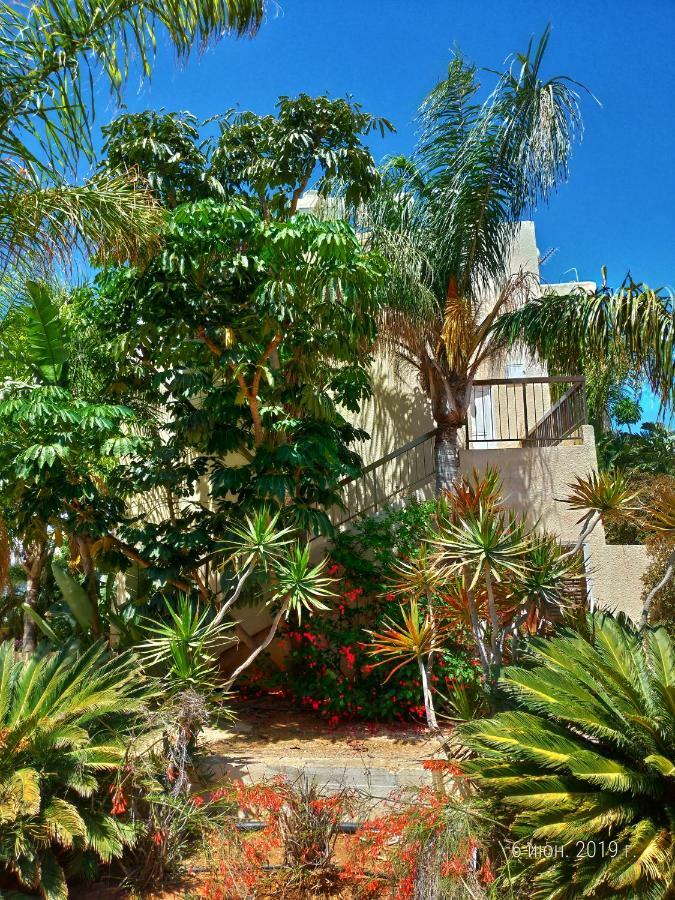 Constantaras Apartments Protaras Luaran gambar